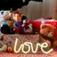 Love Neon Led Light Sign for Love Room Decoration Accessory, Table Decoration, Gifts, Night Light with (USB)(White)